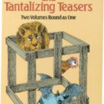 خرید و دانلود نسخه کامل کتاب Perplexing Puzzles and Tantalizing Teasers