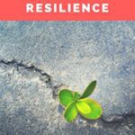 خرید و دانلود نسخه کامل کتاب Perseverance and Resilience: A Practical Guide (Management Book 2) [2017] –  +  pdf