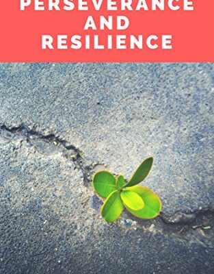 خرید و دانلود نسخه کامل کتاب Perseverance and Resilience: A Practical Guide (Management Book 2) [2017] –  +  pdf