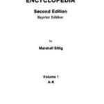 خرید و دانلود نسخه کامل کتاب Pharmaceutical Manufacturing Encyclopedia (2 Volume Set)