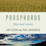 خرید و دانلود نسخه کامل کتاب Phosphorus: Past and Future