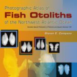 خرید و دانلود نسخه کامل کتاب Photographic Atlas of Fish Otoliths of the Northwest Atlantic Ocean (Canadian Special Publication of Fisheries and Aquatic Scienc)