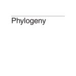 خرید و دانلود نسخه کامل کتاب Phylogeny: Discrete and Random Processes in Evolution