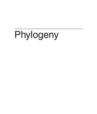 خرید و دانلود نسخه کامل کتاب Phylogeny: Discrete and Random Processes in Evolution