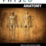 خرید و دانلود نسخه کامل کتاب Physeo Anatomy