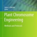 خرید و دانلود نسخه کامل کتاب Plant Chromosome Engineering: Methods and Protocols