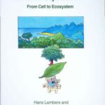 خرید و دانلود نسخه کامل کتاب Plant Respiration: From Cell to Ecosystem