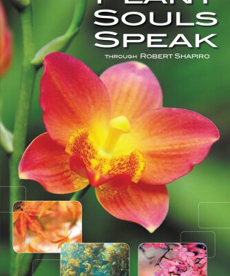 خرید و دانلود نسخه کامل کتاب Plant Souls Speak: The Transformative Energies of Live Plants