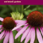خرید و دانلود نسخه کامل کتاب Plants for Life: Medicinal Plant Conservation and Botanic Gardens