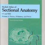 خرید و دانلود نسخه کامل کتاب Pocket Atlas of Sectional Anatomy: Computed Tomography and Magnetic Resonance Imaging : vol. 2 Thorax, Abdomen, and Pelvis