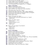 خرید و دانلود نسخه کامل کتاب Pocket Compendium of Peripheral Nerve Blocks (Regional Anesthesia)