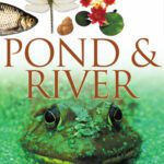 خرید و دانلود نسخه کامل کتاب Pond & River (DK Eyewitness Books)