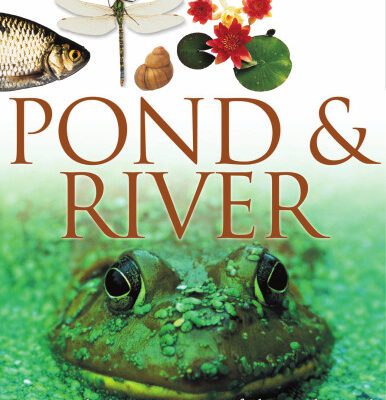 خرید و دانلود نسخه کامل کتاب Pond & River (DK Eyewitness Books)