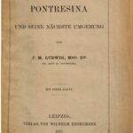 خرید و دانلود نسخه کامل کتاب Pontresina und seine nächste Umgebung