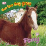 خرید و دانلود نسخه کامل کتاب Pony (See How They Grow)