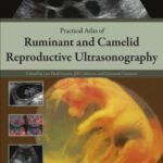 خرید و دانلود نسخه کامل کتاب Practical Atlas of Ruminant and Camelid Reproductive Ultrasonography