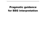 خرید و دانلود نسخه کامل کتاب Pragmatic guidance for EEG interpretation