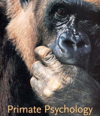 خرید و دانلود نسخه کامل کتاب Primate Psychology