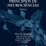 خرید و دانلود نسخه کامل کتاب Princípios de Neurociências