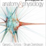 خرید و دانلود نسخه کامل کتاب Principles of Anatomy and Physiology 14th Ed.