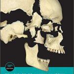 خرید و دانلود نسخه کامل کتاب Principles of Human Anatomy (14th Edition) – Orginal Pdf