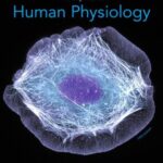خرید و دانلود نسخه کامل کتاب Principles of Human Physiology
