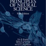 خرید و دانلود نسخه کامل کتاب Principles of Neural Science (Part I)