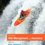 خرید و دانلود نسخه کامل کتاب Principles of Risk Management and Insurance