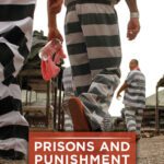 خرید و دانلود نسخه کامل کتاب Prisons and Punishment in America: Examining the Facts