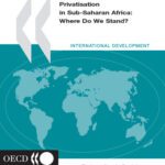 خرید و دانلود نسخه کامل کتاب Privatisation in Sub-Saharan Africa: Where Do We Stand (Development Centre Studies)