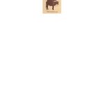 خرید و دانلود نسخه کامل کتاب Proceedings of the North American Symposium on Bovine Respiratory Disease