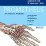 خرید و دانلود نسخه کامل کتاب PROMETHEUS Allgemeine Anatomie und Bewegungssystem