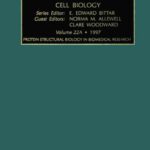خرید و دانلود نسخه کامل کتاب Protein Structural Biology in Biomedical Research