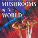 خرید و دانلود نسخه کامل کتاب Psilocybin Mushrooms of the World: An Identification Guide
