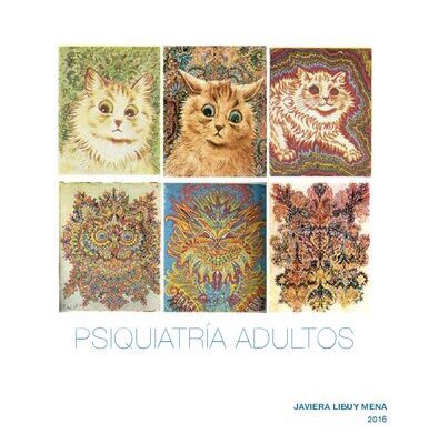 خرید و دانلود نسخه کامل کتاب Psiquiatría Adulto
