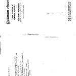 خرید و دانلود نسخه کامل کتاب qauntum chaos, a new paradigm of nonlinear dynamics