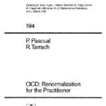 خرید و دانلود نسخه کامل کتاب QCD: Renormalization for the Practitioner