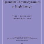 خرید و دانلود نسخه کامل کتاب Quantum Chromodynamics at High Energy