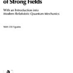 خرید و دانلود نسخه کامل کتاب Quantum electrodynamics of strong fields