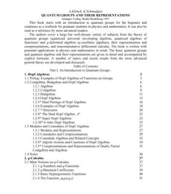 خرید و دانلود نسخه کامل کتاب Quantum groups and their representations