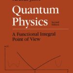 خرید و دانلود نسخه کامل کتاب Quantum Physics: A Functional Integral Point of View