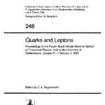 خرید و دانلود نسخه کامل کتاب Quarks and Leptons
