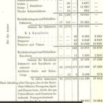 خرید و دانلود نسخه کامل کتاب Quellen zur Geschichte der Kriege von 1799 und 1800