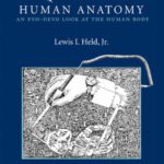 خرید و دانلود نسخه کامل کتاب Quirks of Human Anatomy: An Evo-Devo Look at the Human Body