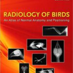 خرید و دانلود نسخه کامل کتاب Radiology of Birds: An Atlas of Normal Anatomy and Positioning