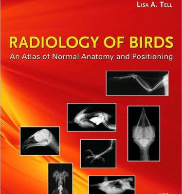 خرید و دانلود نسخه کامل کتاب Radiology of Birds: An Atlas of Normal Anatomy and Positioning
