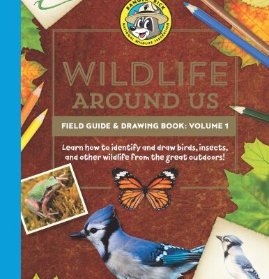 خرید و دانلود نسخه کامل کتاب Ranger Rick’s Wildlife Around Us Field Guide & Drawing Book, Volume 1: Learn How to Identify and Draw Birds, Insects, and Other Wildlife from the Great Outdoors!
