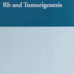 خرید و دانلود نسخه کامل کتاب Rb and Tumorigenesis (Medical Intelligence Unit)