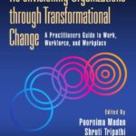 خرید و دانلود نسخه کامل کتاب Re-envisioning Organizations through Transformational Change: A Practitioners Guide to Work, Workforce, and Workplace