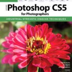 خرید و دانلود نسخه کامل کتاب Real World Adobe Photoshop CS5 for Photographers